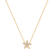 Náhrdelník s diamantmi Starfish2